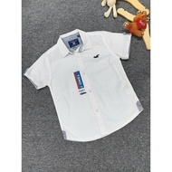 Boys' white eagle shirt 2412