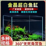 Oblique Glass Amphibious Fish Tank Landscaping Tank Ultra White Tank Ecological Tank Plant Rainfores