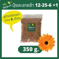 แบ่งขาย ปุ๋ยละลายช้า สูตรดอก ปุ๋ยดอก 6 เดือน 12-25-6+1 slow release fertilizer for flowers long last