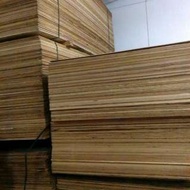 木條 棧板 角材 夾板 合板 多所學校 設計公司指定廠商