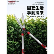 Pruning Shears Branch Shears Delisi Gardening Pruning Shears Branch Shears Greening Pruning Fruit Tr