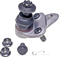 Dorman BJ75035XL Front Lower Suspension Ball Joint Compatible with Select Lexus / Toyota Models