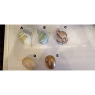 Aquarium Decoration Sea Shell Decoration Shell Decoration