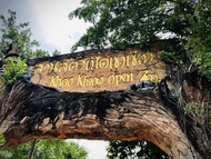 ทัวร์สวนสัตว์เปิดเขาเขียวหนึ่งวันจากพัทยาหรือกรุงเทพฯ โดย TTD GLOBAL