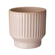 Honungspalm Pot 9cm