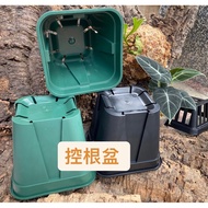 [Plant Feel Fern Up] Root Control Pot 15 * 15 * Deep 13cm Foliage Plant Philodendron Velvet Square P