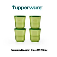 Premium Blossom Glass (4)230ml