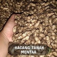 KACANG TANAH MENTAH KACANG TANAH BASAH SEGAR