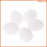 WIT 5-Pack Plastic Eggs White Solid Nest Eggs for Parakeets Conure Laying Eggs