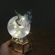 【沾浸藝術•玻璃飾盒 •Moony系列】蝴蝶