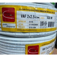 VAF Wire 2x2.5 Sq.mm. 100m. Thai Union