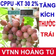 Cytokinin CPPU KT-30 2% (Increase fruit size) Forchlorfenuron 100g pack