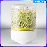 [Etekaxa] Countertop Reusable Bean Sprouts Maker Bean Plants Sprouting System Seeds Container Bean Sprouts Machine for Wheatgrass