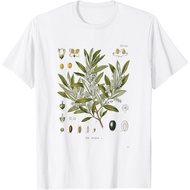 Vintage Botanical Garden Botany Olive Tree T-Shirt
