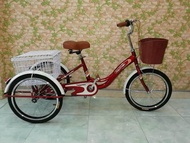 XE ĐẠP 3 BÁNH CHO NGƯỜI GIÀ HOẶC NGƯỜI ĐI LẠI KHÔNG THUẬN TIỆN