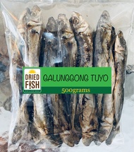 DFP Dried FIsh Galunggong 500grams Dried Seafood