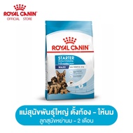 Royal Canin Maxi Starter Mother &amp; Baby Dog โรยัล คานิน อาหารเม็ดแม่สุนัข และ ลูกสุนัขหย่านม พันธุ์ใหญ่ อายุ 1-2 เดือน (กดเลือกขนาดได้ Dry Dog Food)