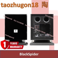 BlackSpider 12'' Active Subwoofer Woofer Speaker (Build-In Amplifier) 12 Inch ADO3
