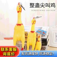 Small Screaming Chicken Vent Toy Toy Chicken Screaming Chicken Vent Chicken Screaming Chicken Toy Ma