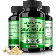 Irish Sea Moss Capsules 120ct Raw Sea Moss Wildcrafted Bladderwrack Burdock Root Capsules Super Food