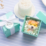 T盒裝 大頭款小狗磁鐵 小禮盒 創意文具 驚喜抽獎 婚禮小物 獎品