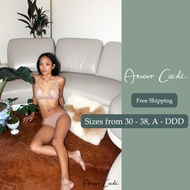 [READY STOCK] New York Brand Amour Caché Cristal Wireless Tiger Lace Bra Luxury Bralette 30AA-38DDD 