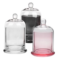 ASSORTED GLASS DECORATIVE WITH DOME CLOCHE