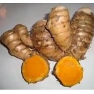 Temulawak fresh 300gm . #hanyayangfresh