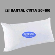 Love Pillow Insert Size 50x100 Cm