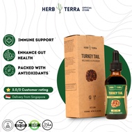 Herb Terra Turkey Tail Tincture – Immune & Gut Support – Liquid Mushroom Supplement – Vegan, Sugar-F