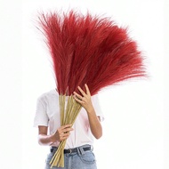Artificial Plants Faux Pampas Grass Home Decor 100/80/60/50Pcs/30pcs/20pcs/15pcs/10pcs/1pc 55CM / 97