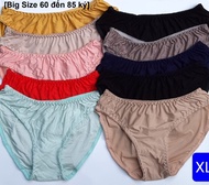 [75 đến 95kg] 5 Quần Lót nữ Big Size 80cm đến 110cm 100% Thun Cotton Lạnh Cao Cấp ( shop giao màu ng