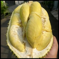 Durian Bulat Utuh Montong Palu 2Kg Best Seller