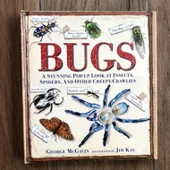 [Tiếng Anh cho bé] Đồ chơi dạng 3D BUGS dành cho bé