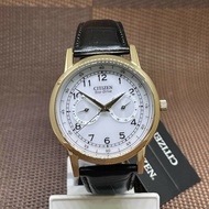 Citizen Eco-Drive AO9003-16A Standard Analog Black Leather Strap Men's Watch