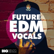 Big EDM Future EDM Vocals 🔰 ProducerLoops *Sample Pack* (Win/Mac)