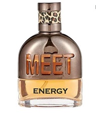TERLARISS Pheromone Perfume MEET Energy for MEN Eau De Parfum 15