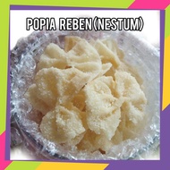 POPIA NESTUM SUSU CRUNCHY | +-400gram 👍