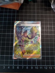 Pokemon Card查克洛s12aF 238/172 sar
