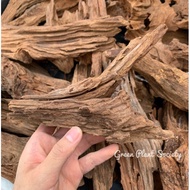 90s Greenovation - plant drift wood(garden decoration)/wood decoration