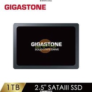GIGASTONE 1TB SATA III 2.5吋高效固態硬碟 ( 2.5&amp;qu [全新免運][編號 X25946]