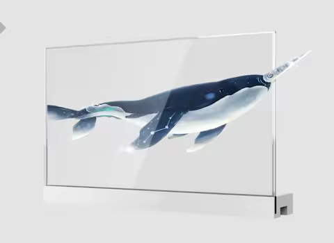 30 Inch Sided Transparent OLED Smart TV Display Digital Signage and Displays Advertising Players Exh