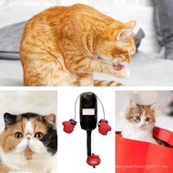 Cat Boxing Bag Toy, Kitten Boxing Toy, Interactive Kitten Boxing Bag-Unique Interactive Boxing Bag T