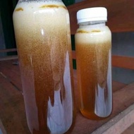 Honey / pure honey / real honey / forest honey