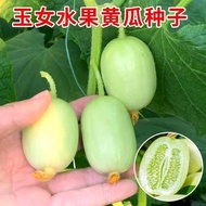 Mini Jade Girl Cucumber Seed Four Seasons Potted Balcony Seed 0509