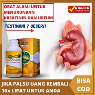 Obat Penurun Kreatinin - Kreatinin Tinggi - Obat Ginjal Penurun Kreatin - Menurunkan Kadar Kreatin D
