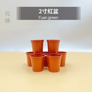 7cm Small Red Pot|Seedlings|Gardening Materials|Yuan Green