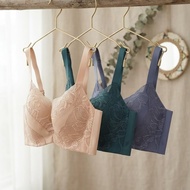 Bra WACOAL 3235 Premium LaceWanita - Underwire - Thin Foam - Full Cup - 3 Hooks, Size 36B 38B 40E, E