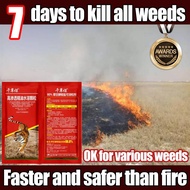 【wholesale discount available for consultation】10 times more effective at killing weeds racun rumput