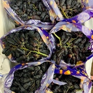 Buah Anggur Hitam Panjang/Usa Long Black Grapess Autumn Seedless 1 Kg